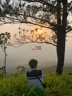 100%