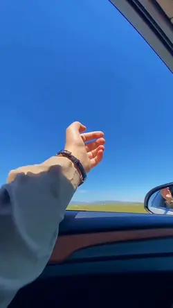 12 clips