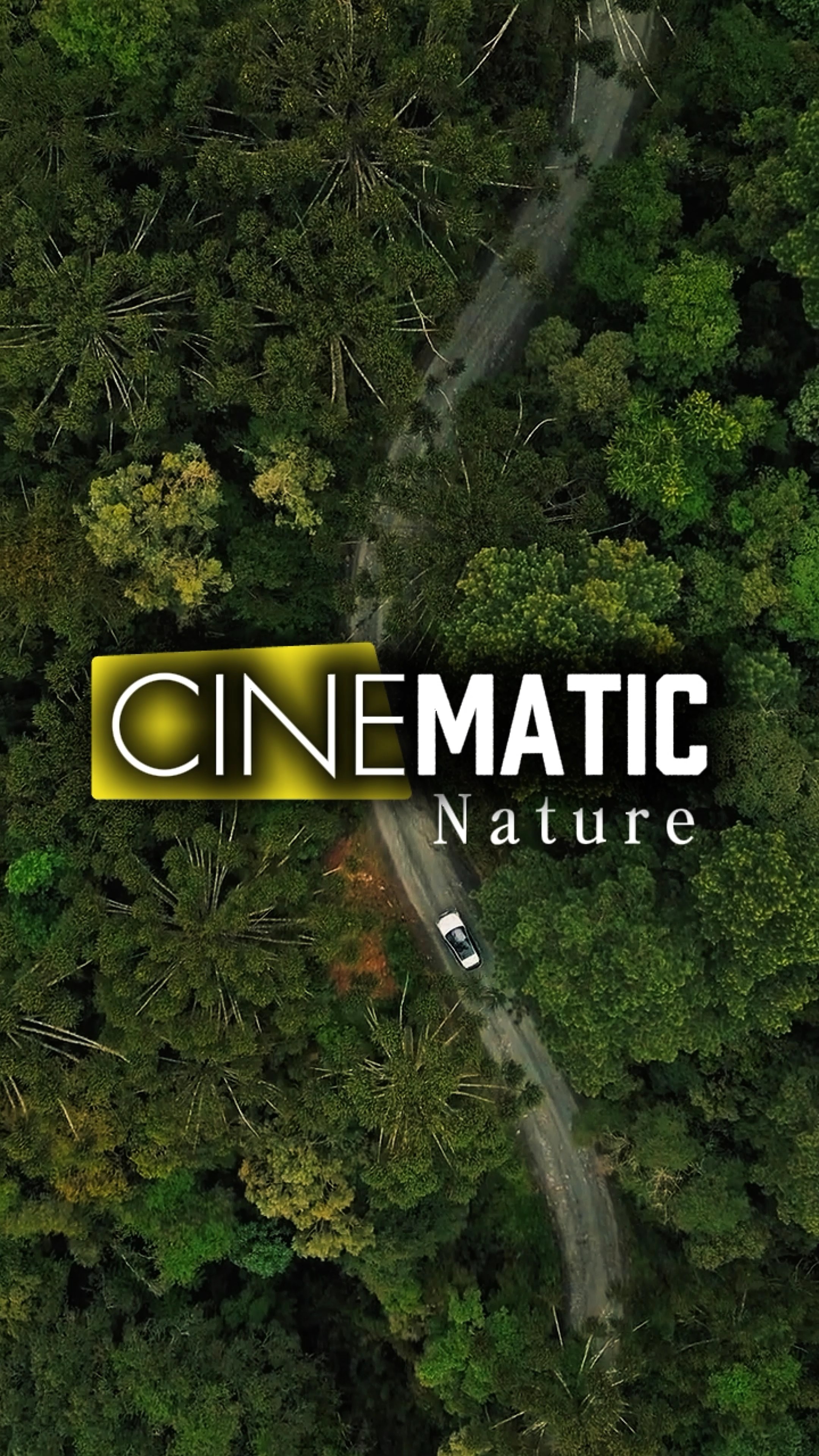 cinematic Video 