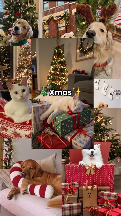 Animal de estimação de natal