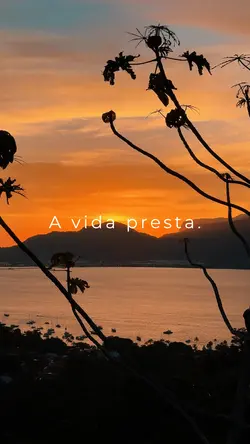 Vlog | Férias