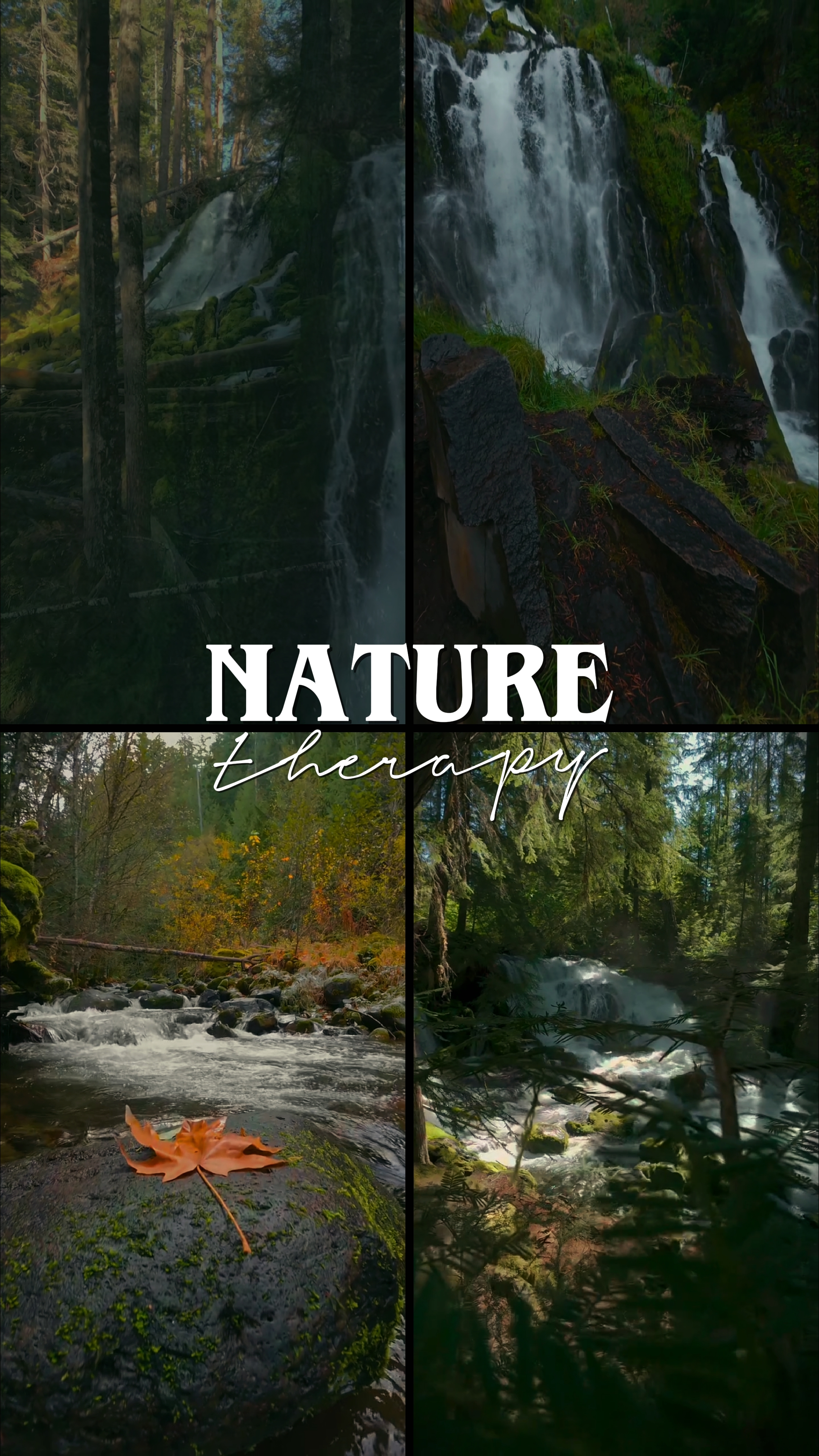 TERAPIA DE LA NATURALEZA