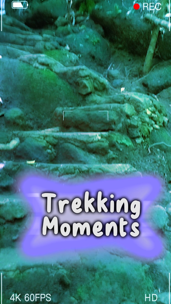Petualangan Trekking 