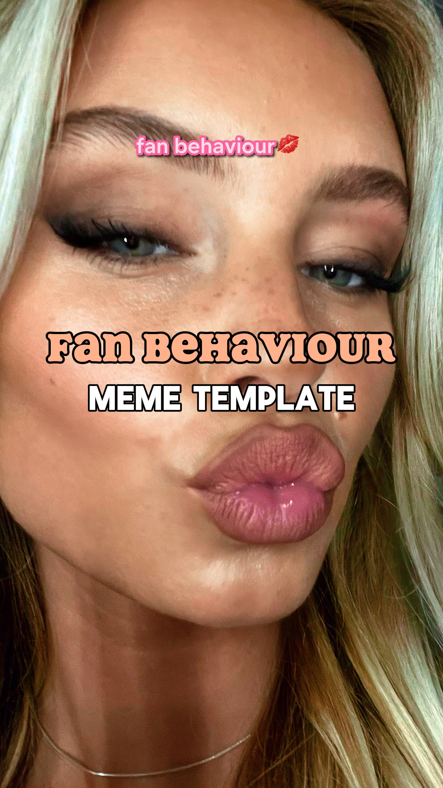 Fan behaviou