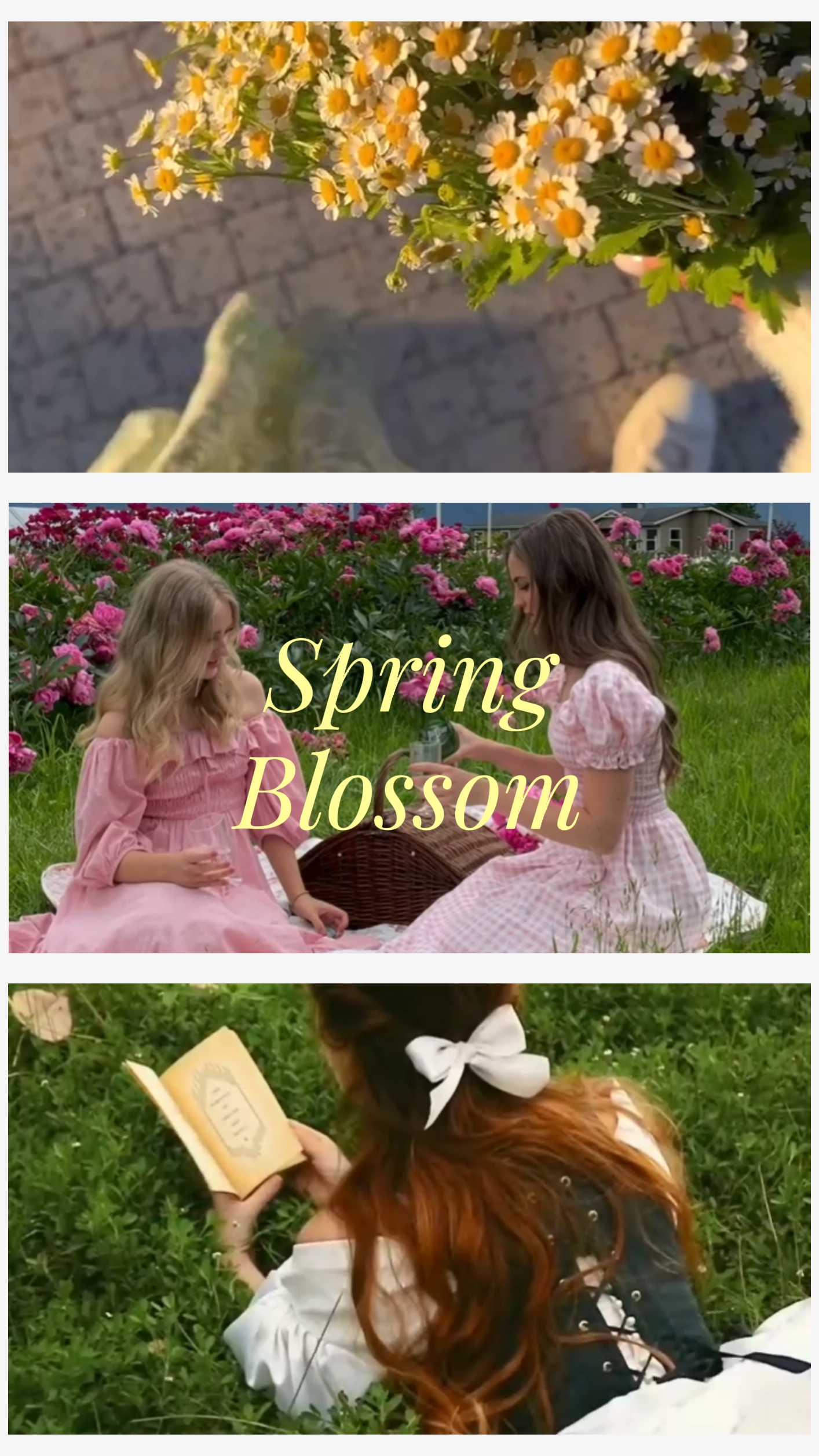 Frühlingsblüte