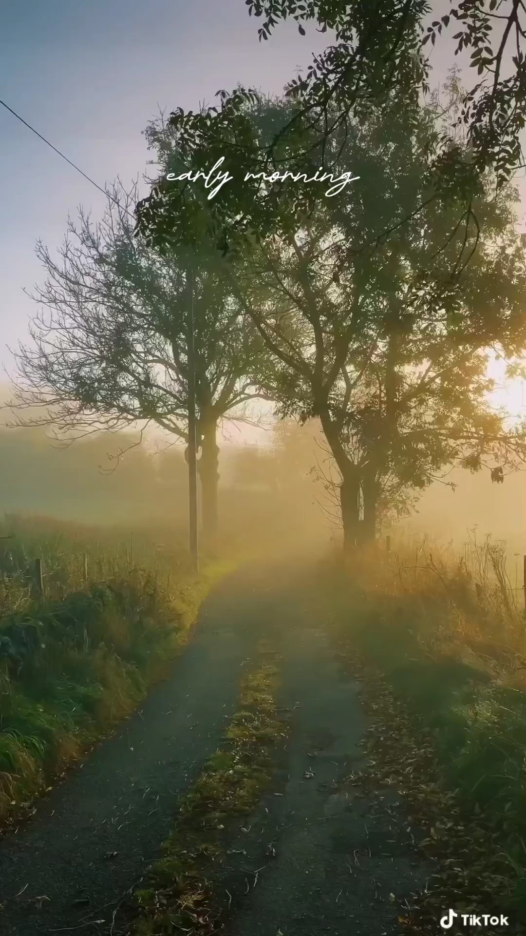 early morning