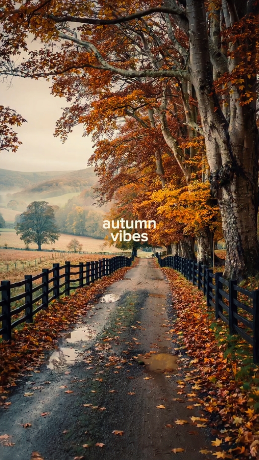 ambiance d'automne 