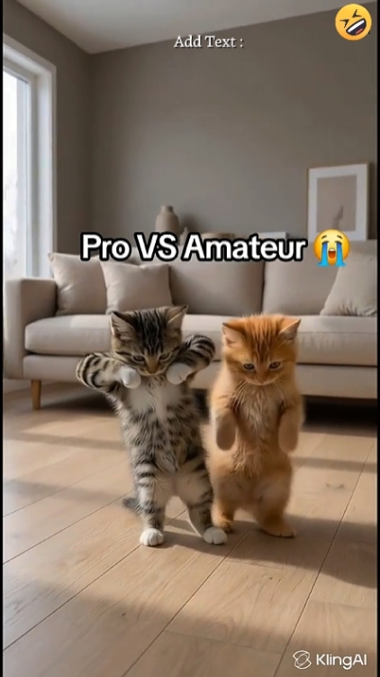 Dance Cat Trend