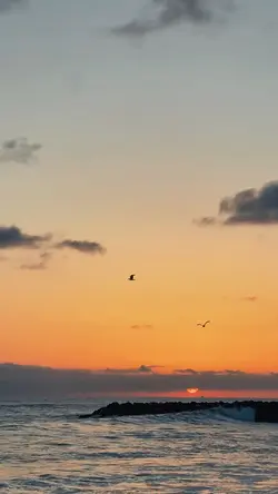 3 video
