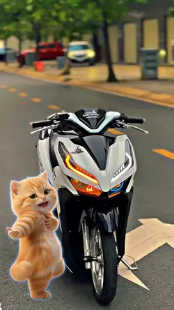 dance cat lucu