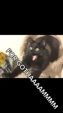 For Gotham!
