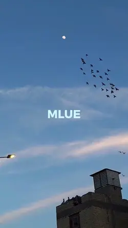 MLUE?