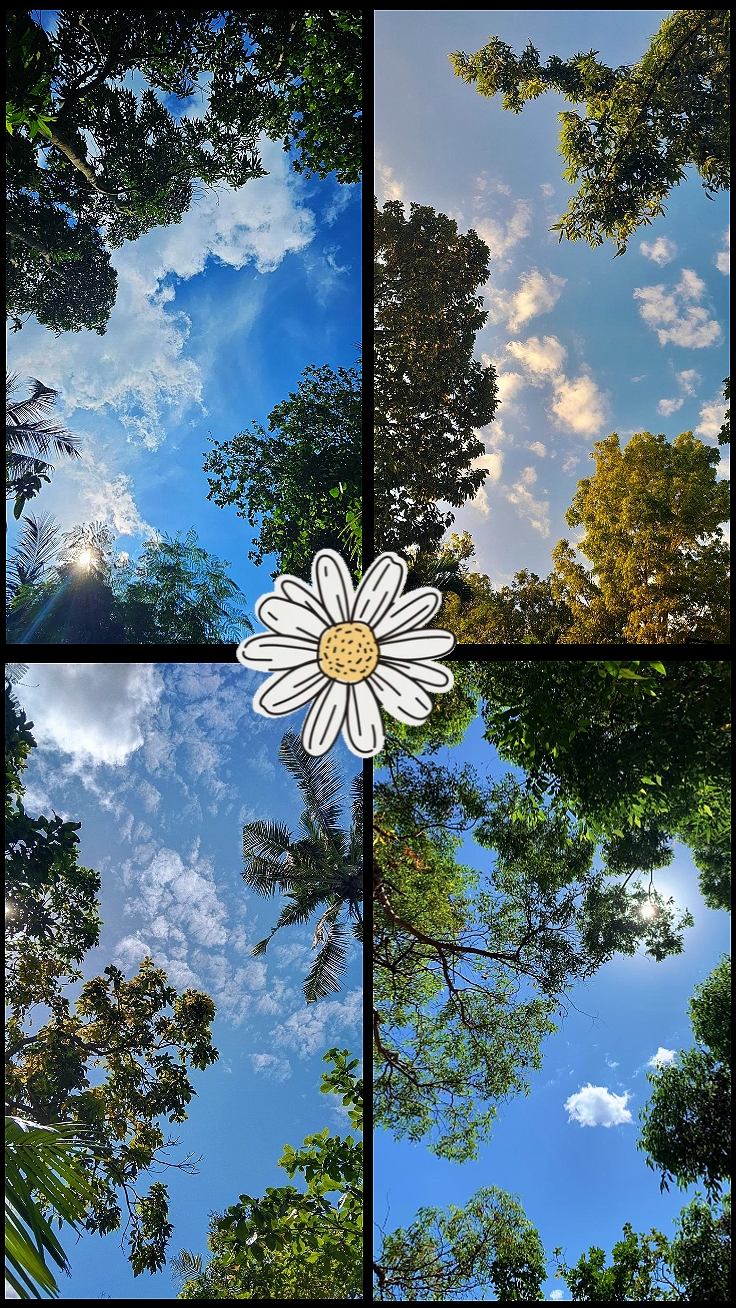 Randomphoto | coloque seu