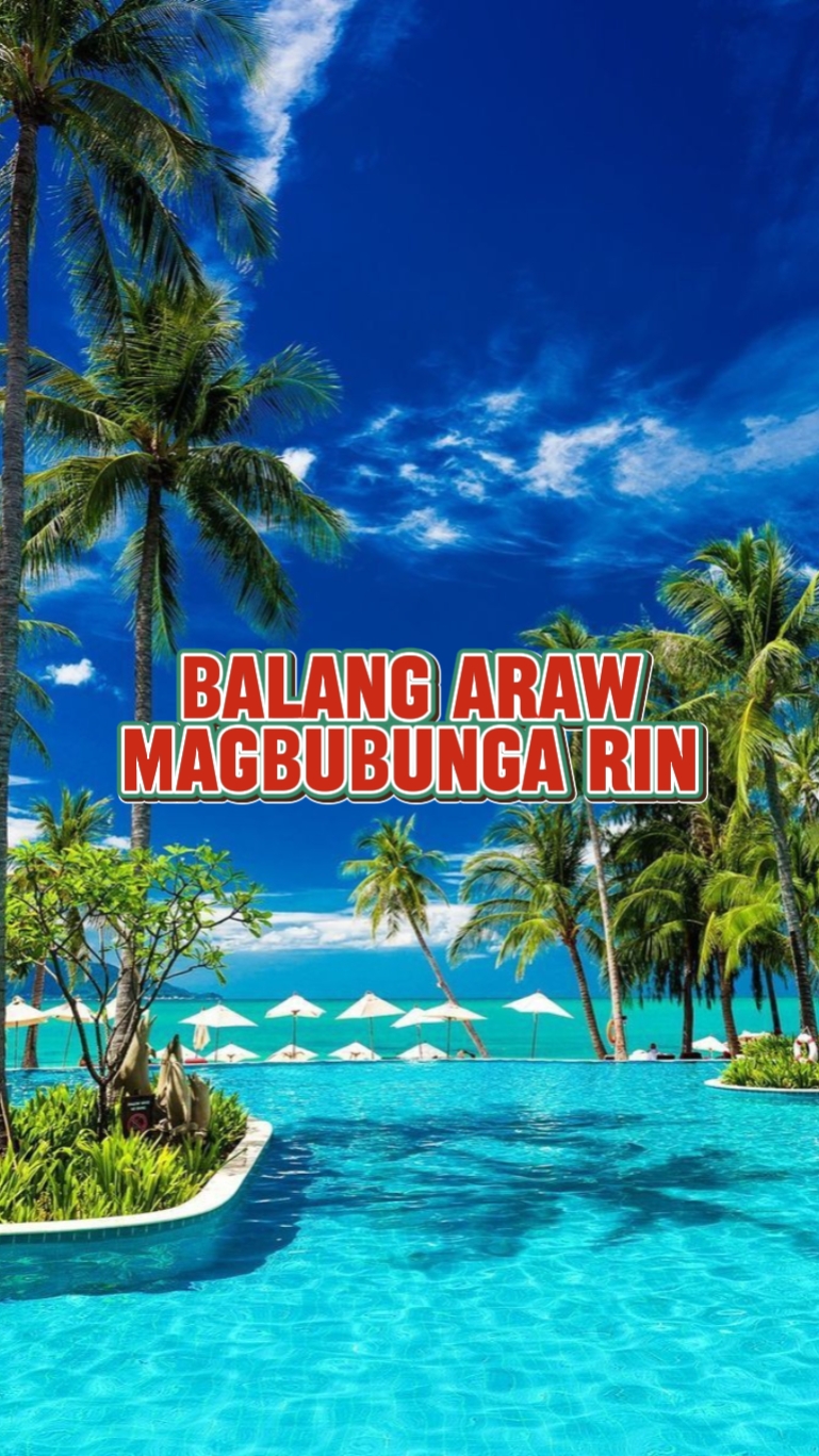 Bunga