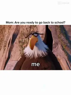 no
