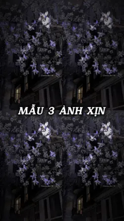 Beat 3 ảnh xịn