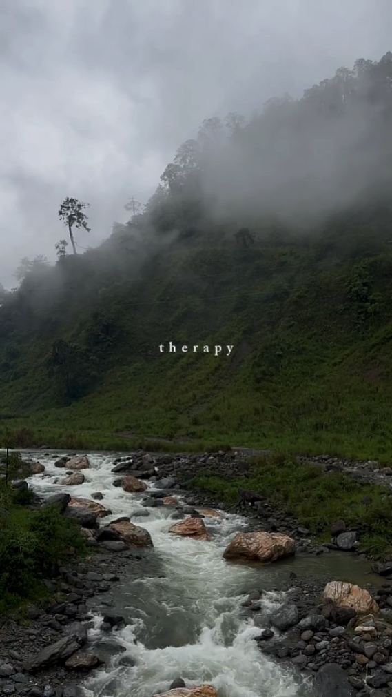 therapy
