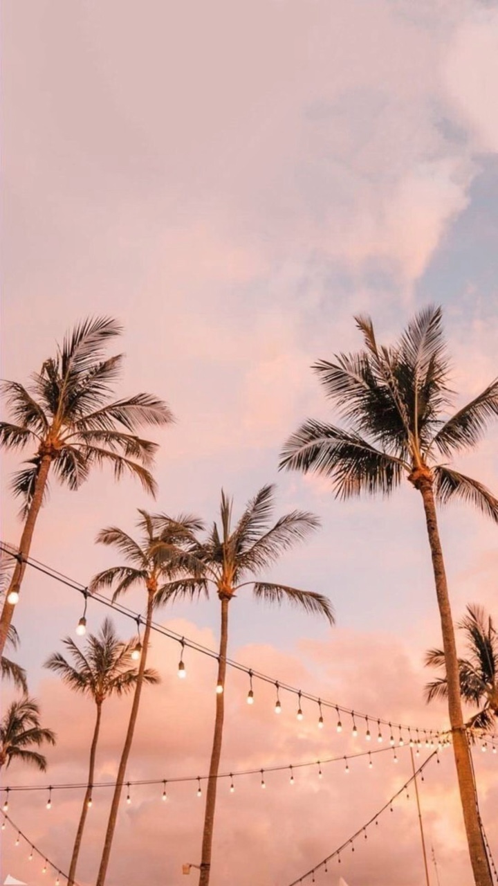 À vos claviers 