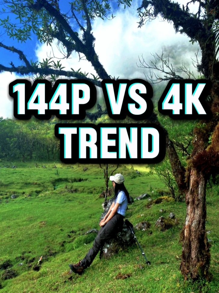 144P VS 4K TREND