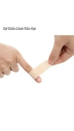 1 Ảnh