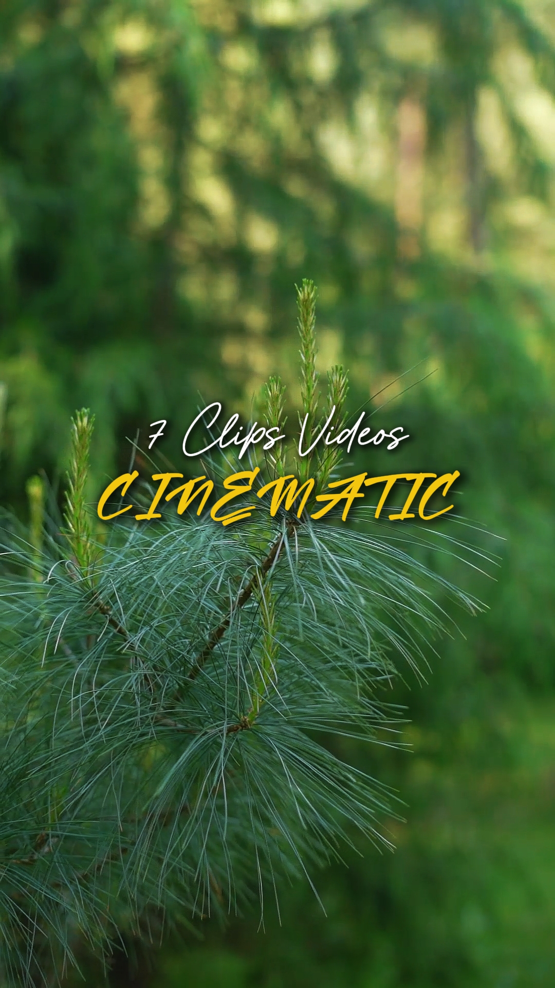 Cinematic 7 Videos