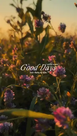 Good days inst sza
