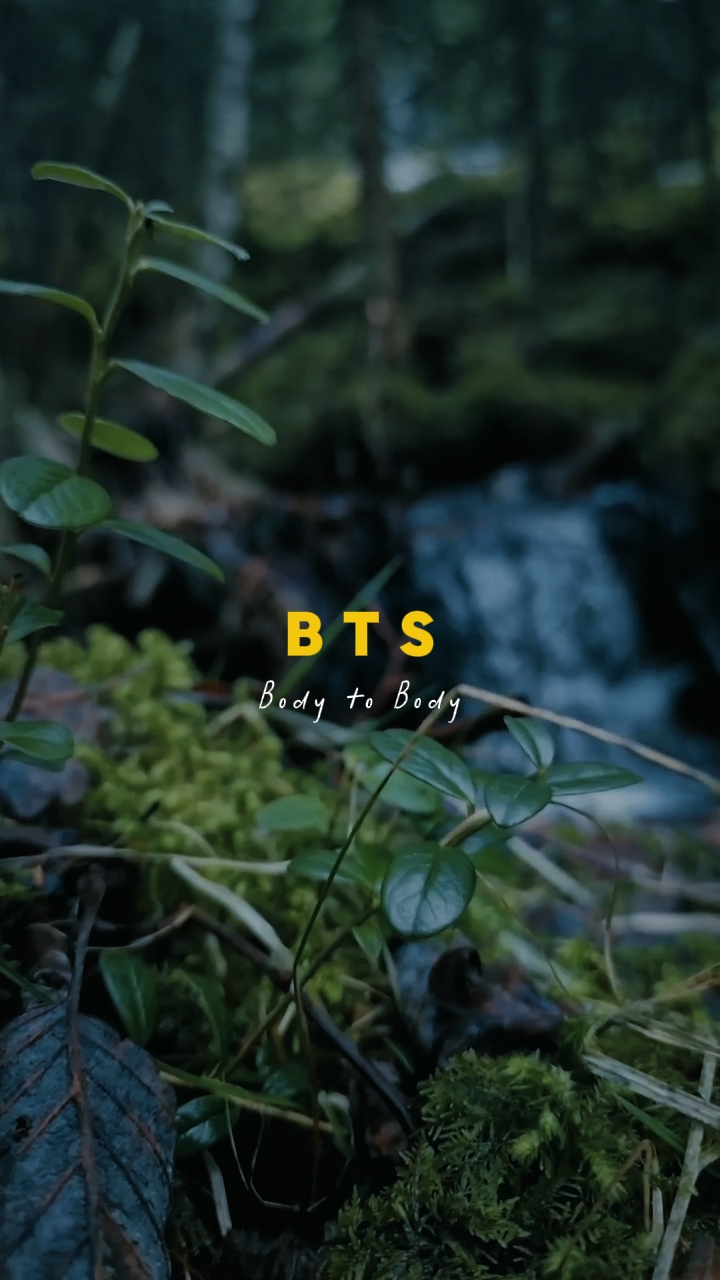 BTS -  Body to  Body