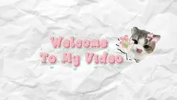 intro video 
