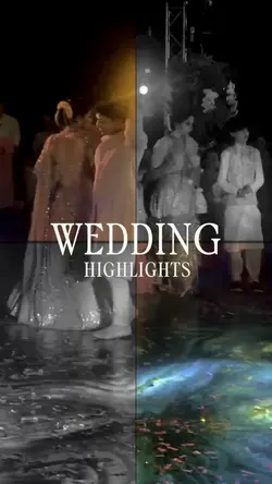 Wedding highlights