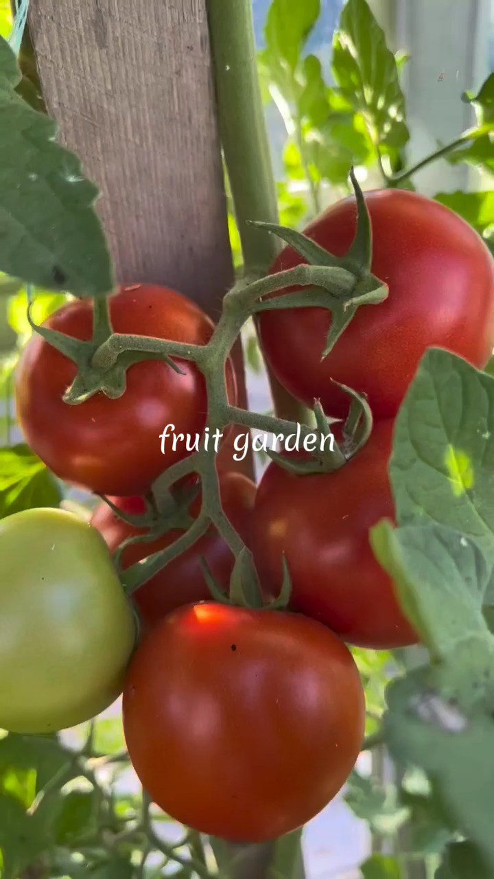 Jardín de frutas