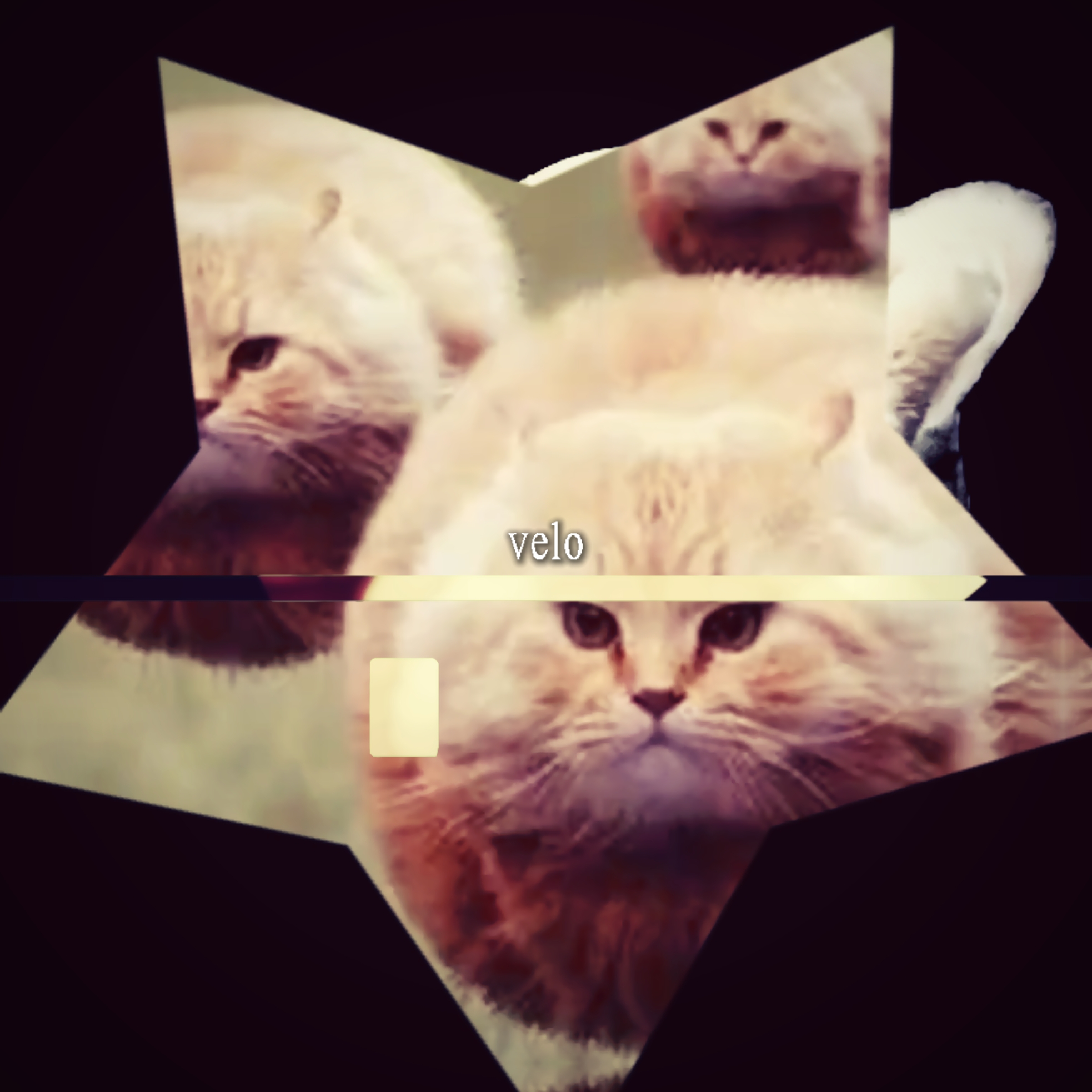 Spinnende Katze bearbeiten