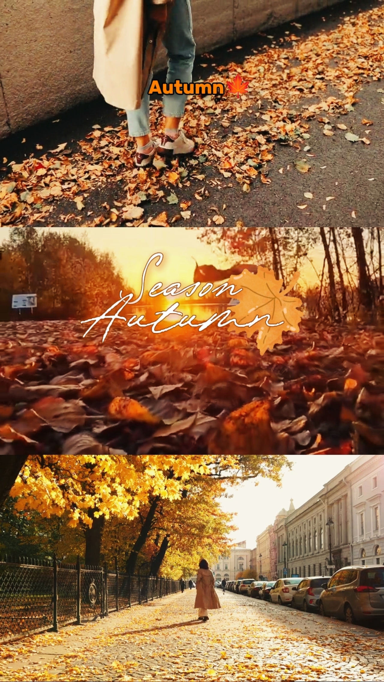Temporada de Otoño