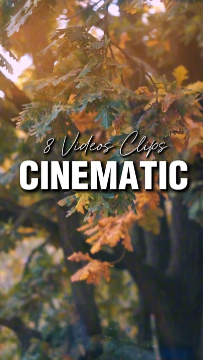 8 Videos Clips 