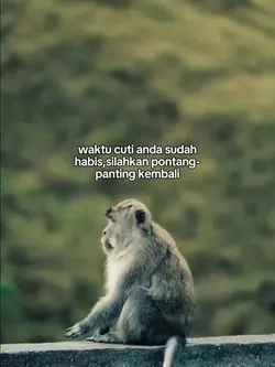 STORY KATA