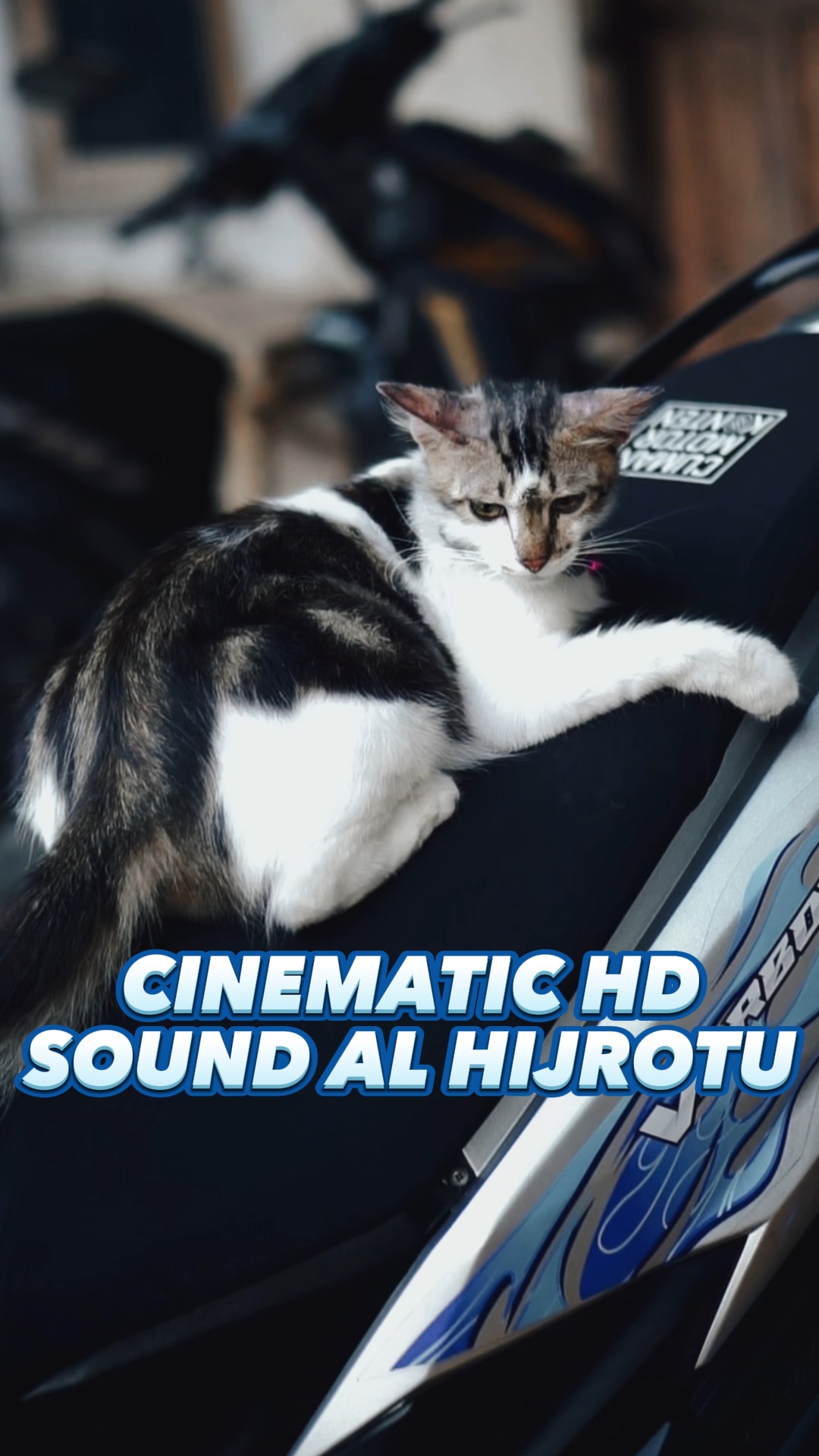 Kino hd