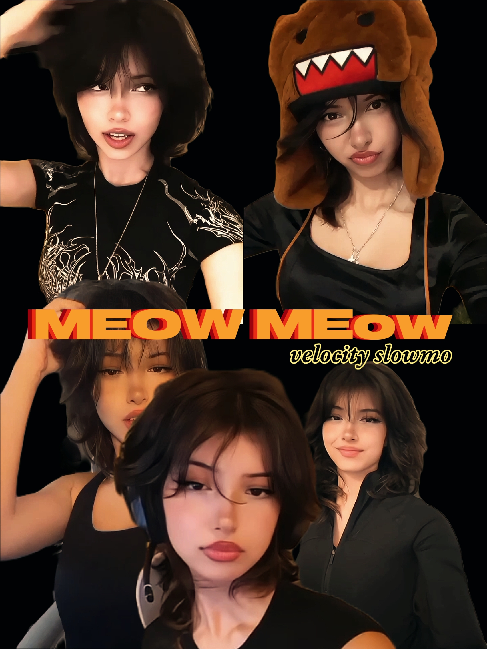 MEOW VELOCIDADE 