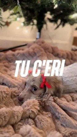 Amore