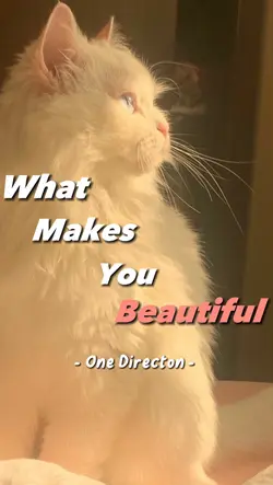 One Direction