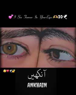 TERI ANKHOON.....