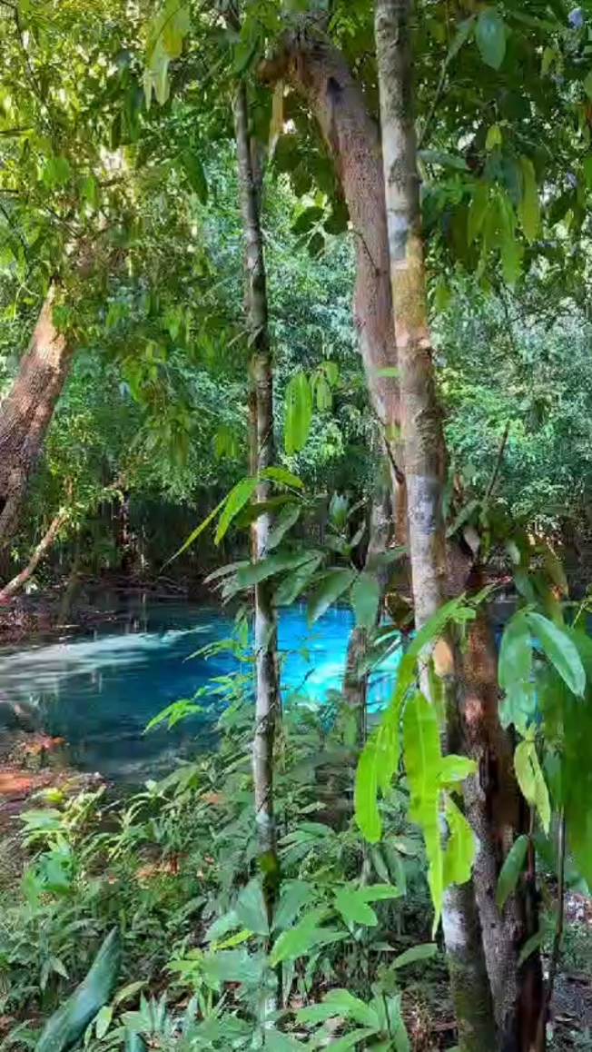 Estetik de viaje