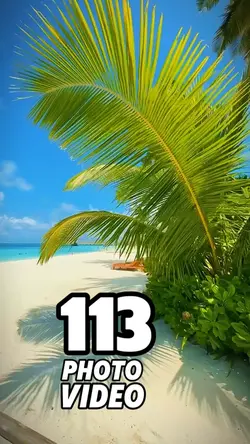 113 clip or photo