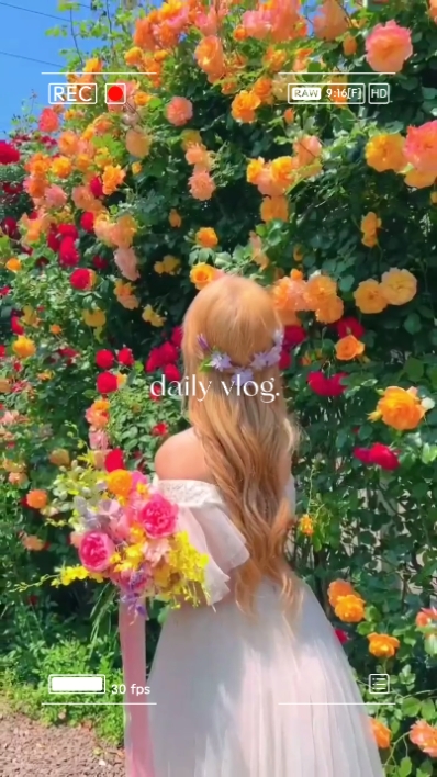daily vlog