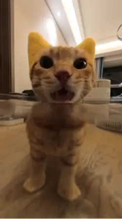 My fav animal 