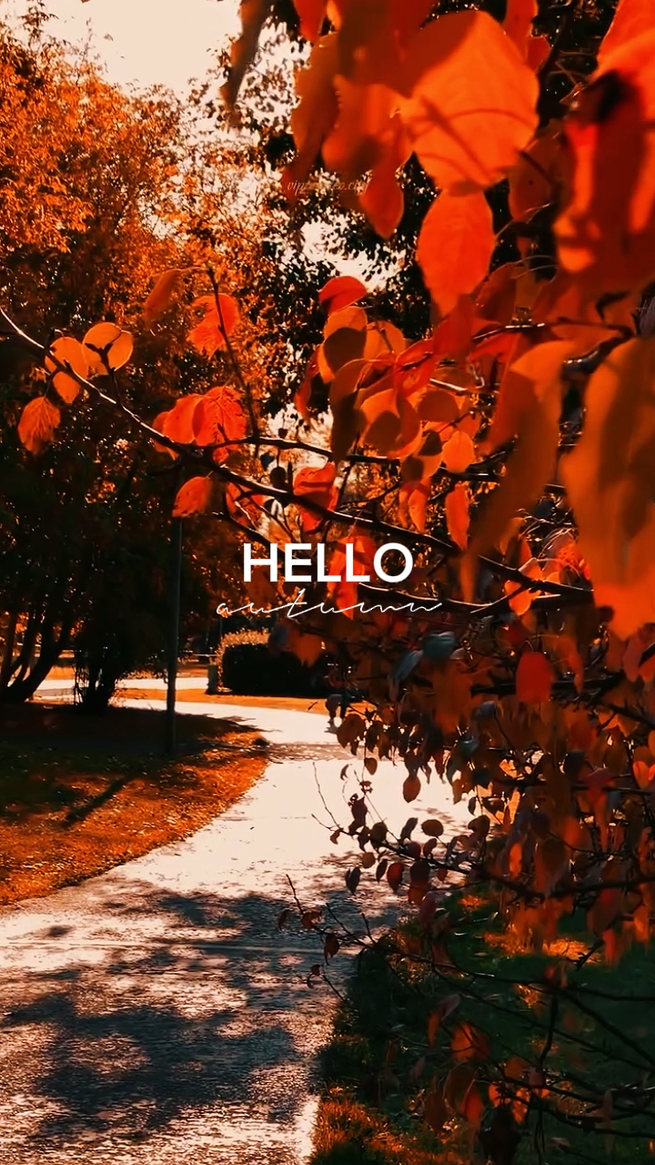 hallo herbst