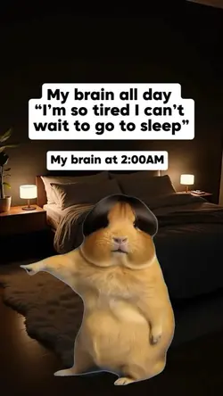Brain at 2AM