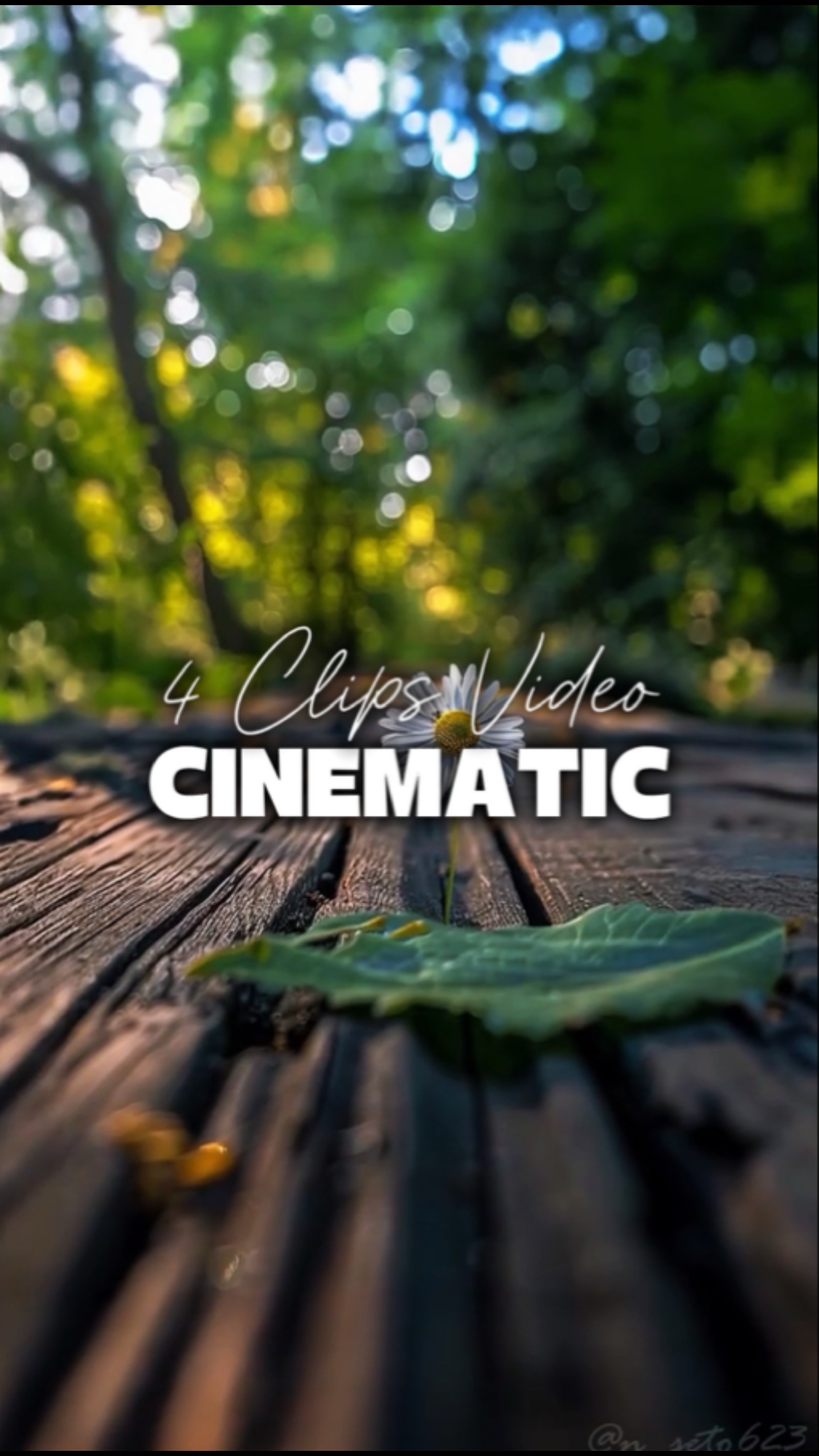 4 Vidéos Cinématiques 