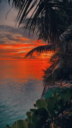 Aesthetic