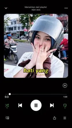 Spotify Lyrics Playr