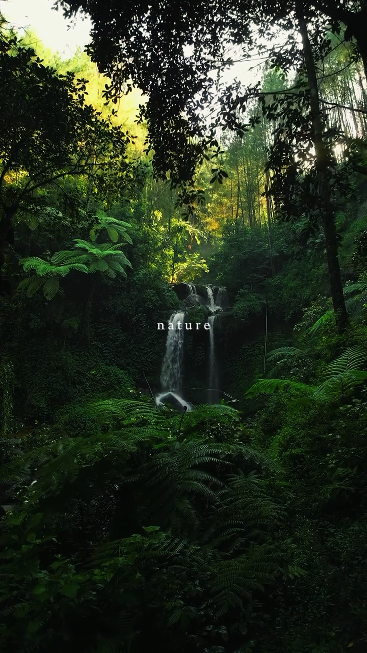 Nature