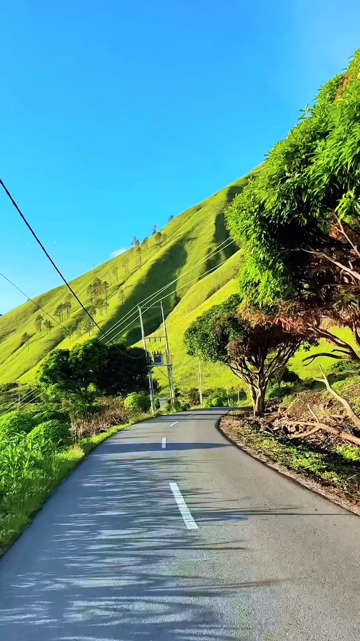 4 roadtrip vidéo